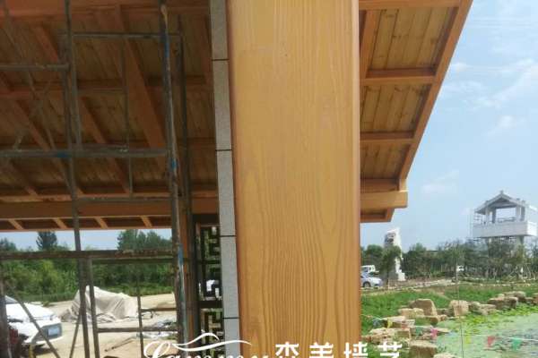 山東濱州沾化區駭河公園木紋漆項目